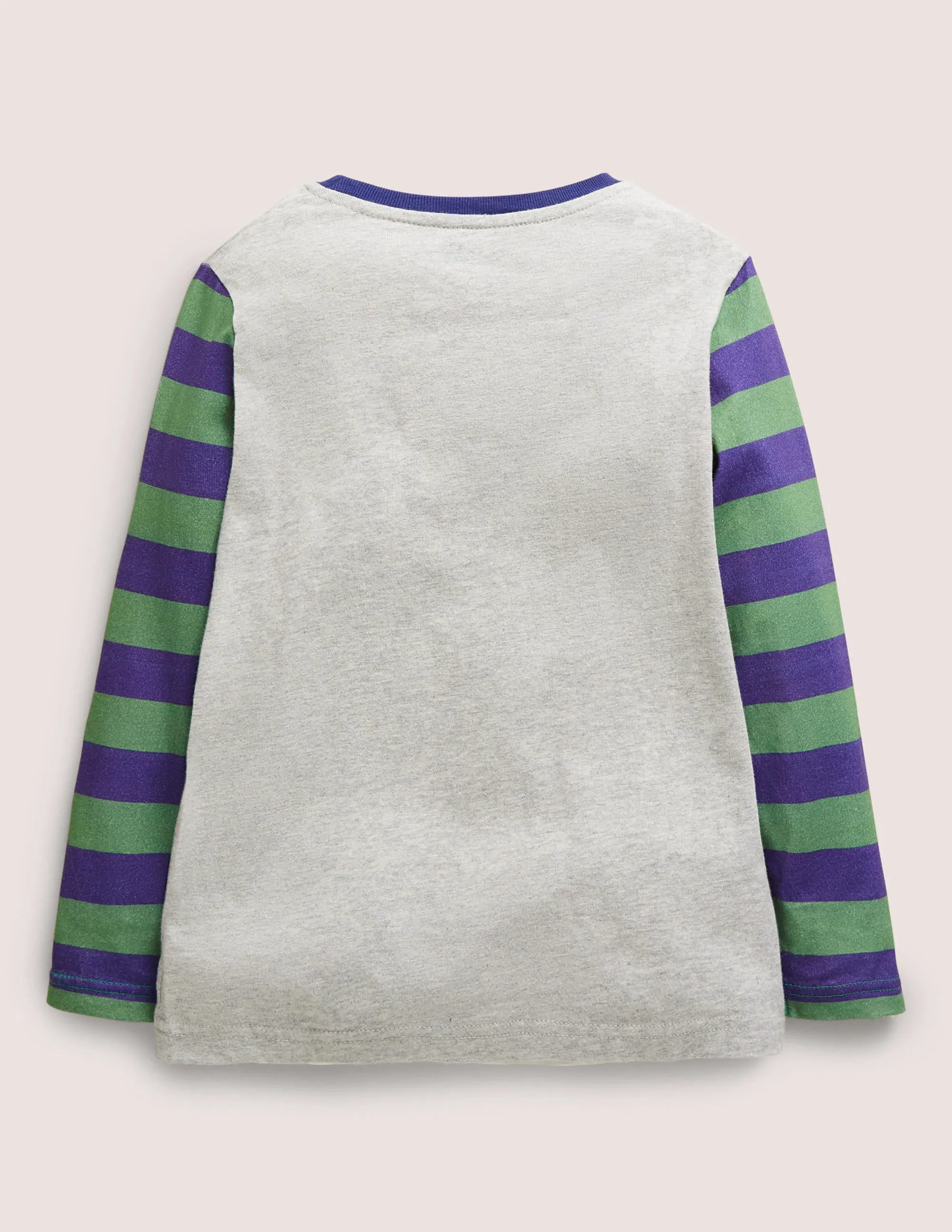 Appliqué Hotchpotch T-shirt-Grey Marl Boarding Guinea Pig