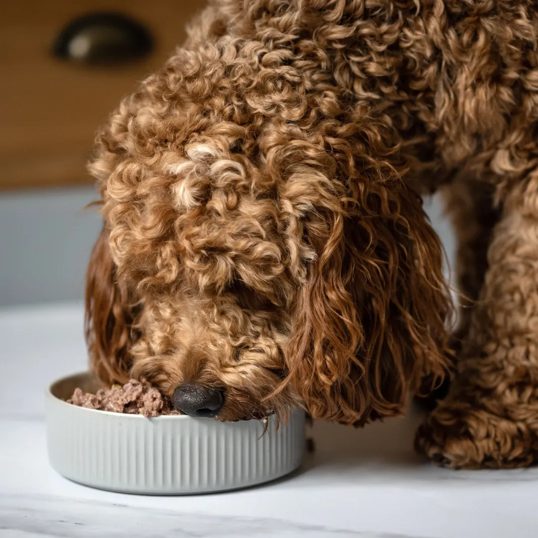 Billy & Margot Chicken with Superfoods Tin