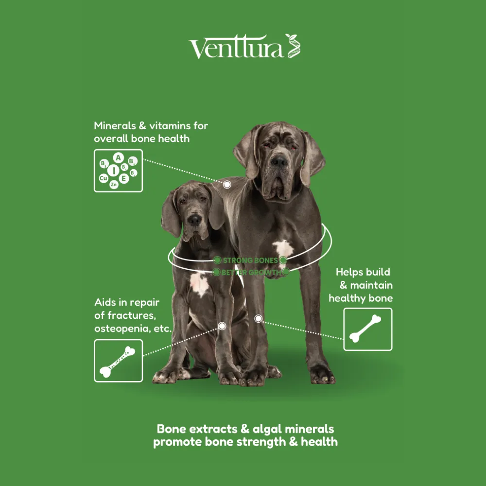 Venttura Calci Pro Plus Chewable Calcium Supplement Tablets for Dogs