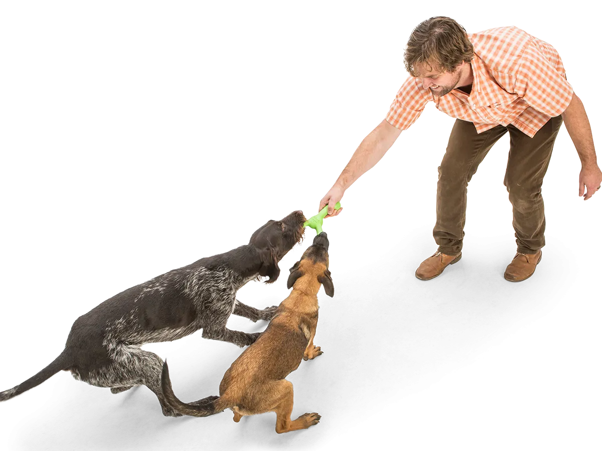 West Paw Skamp Fetch Toy